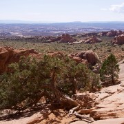 IMG 7067