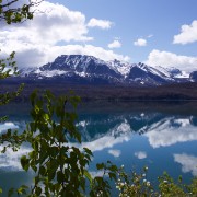 IMG 7536