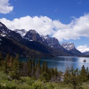 IMG 7538