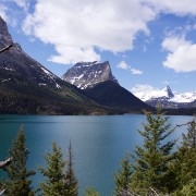 IMG 7545