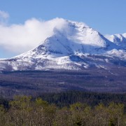 IMG 7581