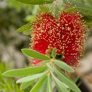 CRW 2131 : Belgien, Natur Nature, Urlaub